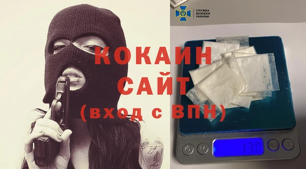 шишки Алексеевка