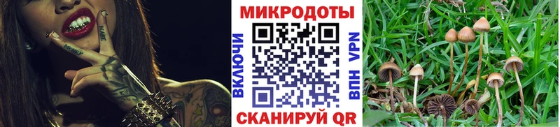 Галлюциногенные грибы мухоморы Сасово